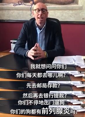 全球疫情期间，狗都逼疯了