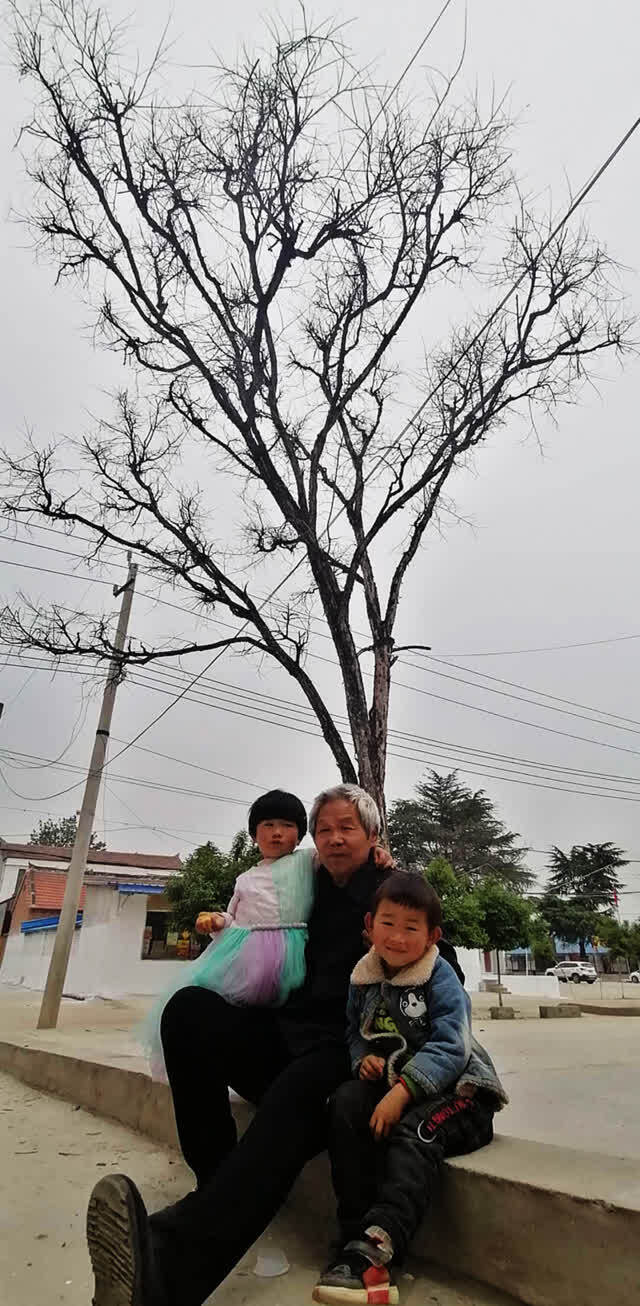 河南项城孙店石营有"三宝"!__凤凰网