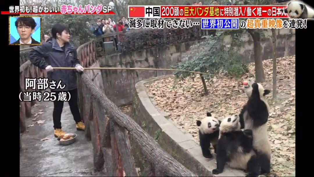 为了学四川话，这个日本姑娘拼了
