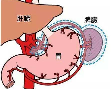 心肝脾肺肾五脏藏毒都有哪些表现如何排毒更健康