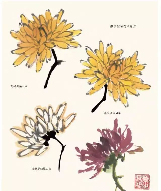清晨阅读丨国画菊花图文教程