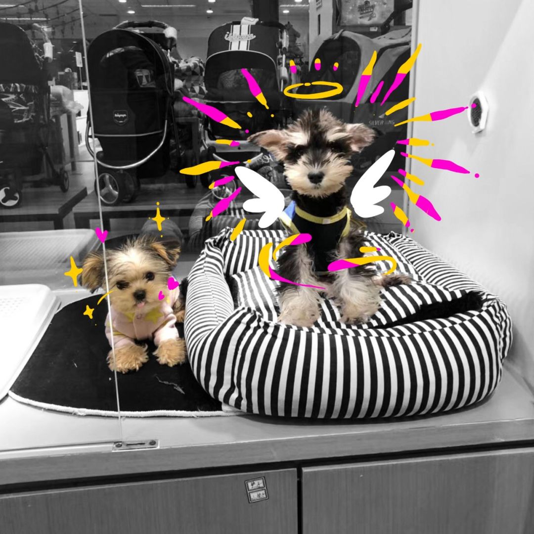 猎奇丨富豪们都在淘宝上买啥玩意儿