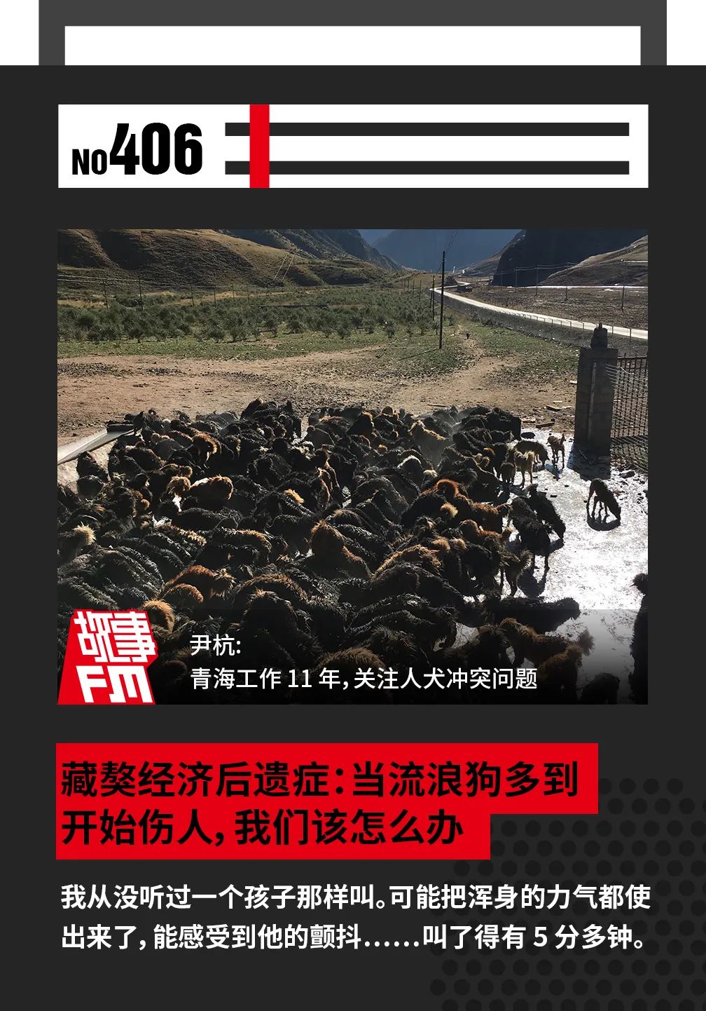 藏獒经济后遗症：当流浪狗多到开始伤人该怎么办