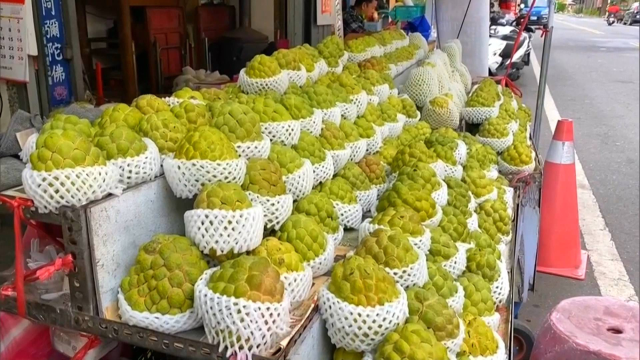 台湾凤梨释迦外销大陆受阻,大丰收却卖不到好价格,果农干着急