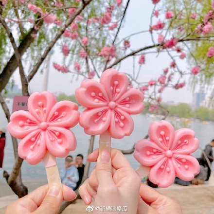 玉渊潭樱花雪糕1.