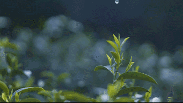 375_211gif 动态图 动图