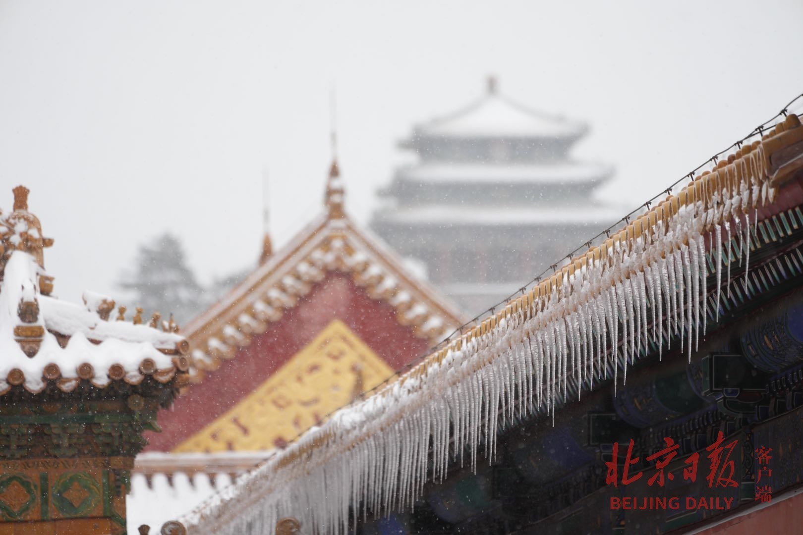 一夜梦回紫禁城!故宫雪景大片来了