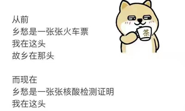 要不要回家过年?这些工具一键可查!