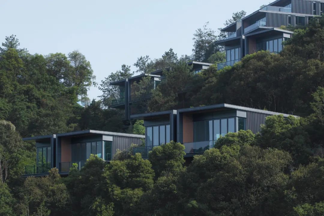 朱培栋:与山共生—莫干山郡安里"沁山"山地villa建