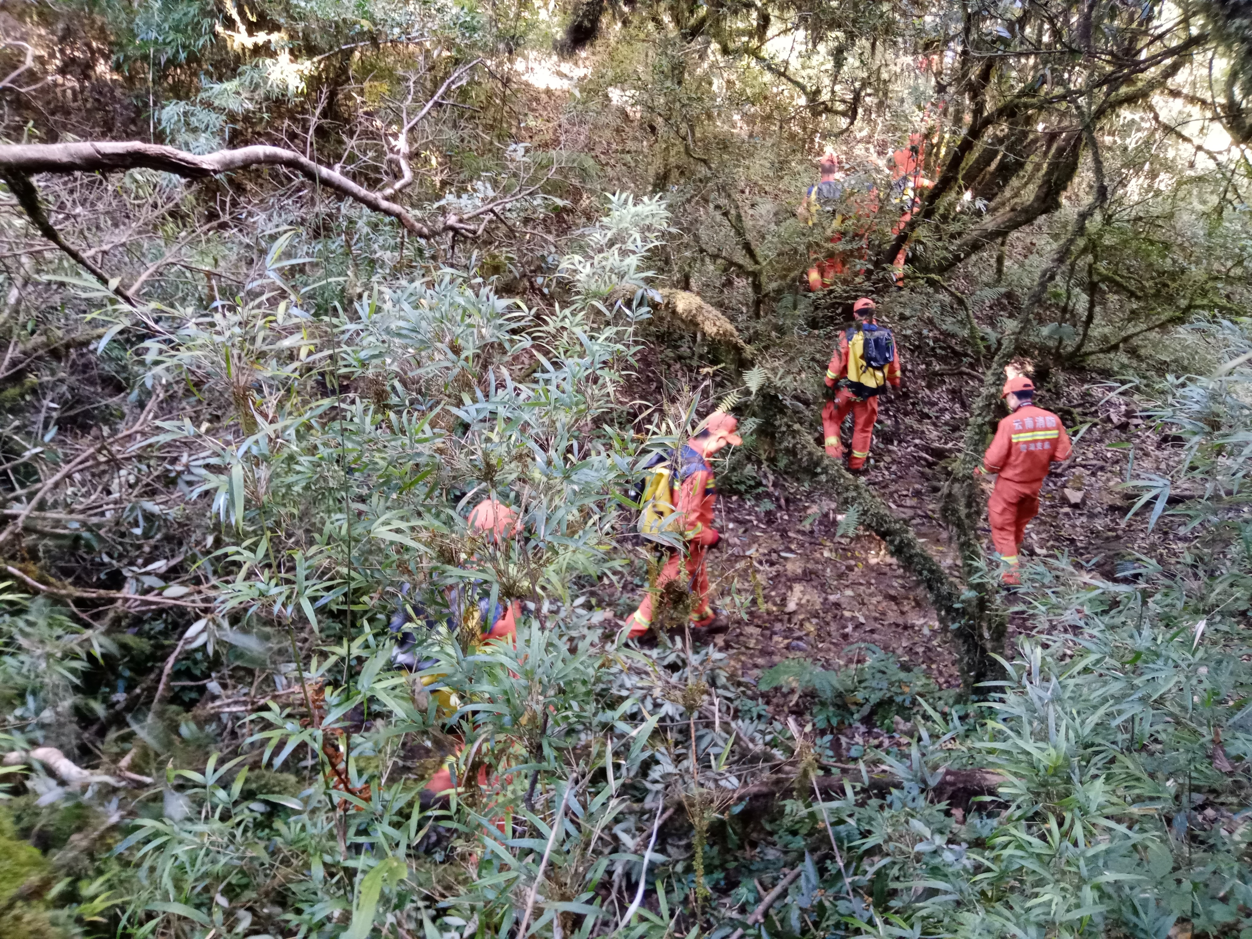 "国家队"成员谈哀牢山搜救:这次救援难度大 磁场干扰待调查
