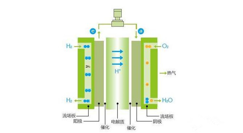 面对氢燃料电池汽车在国内的困局,车企出手了