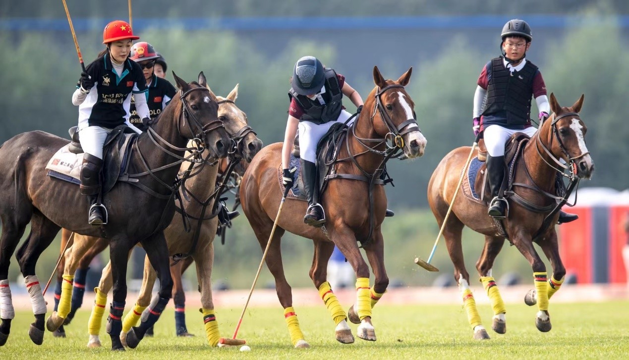 首届传承中国马球文化杯比赛成功举办1003polo致力发扬中国马球文化