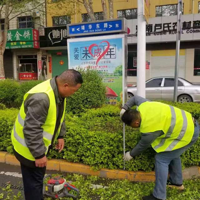 卢氏县城市管理局:道路绿篱精修剪"五一"山城献美景__凤凰网