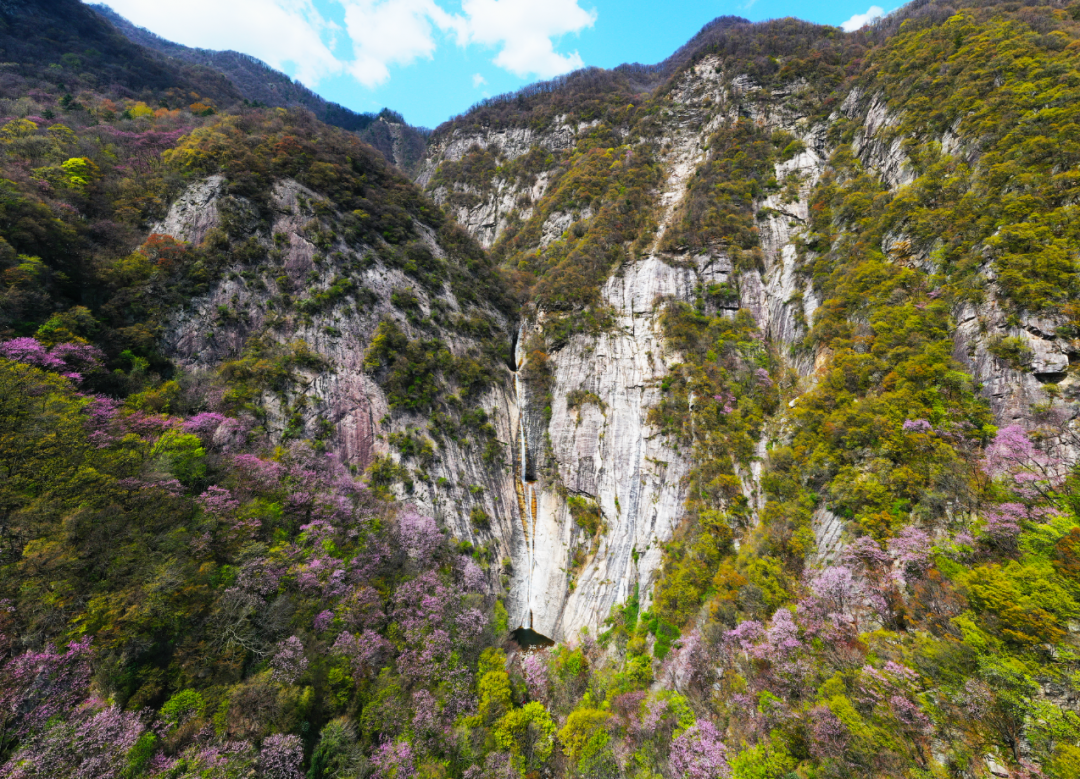 山水美景 鲜花瀑布在这里