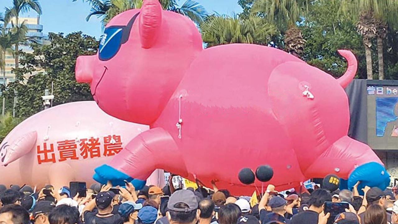 台学者揭露"反莱猪"异象:养猪业者在民进党挟持下