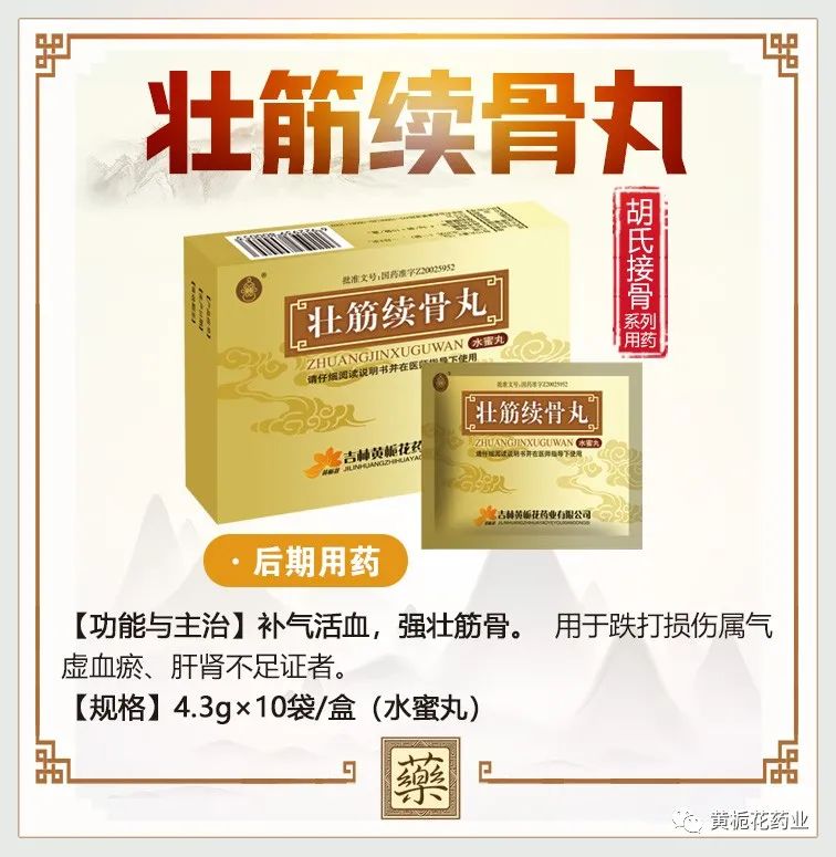 临床应用壮筋续骨丸的主要功能是补气活血,强壮筋骨,用于骨折后期.