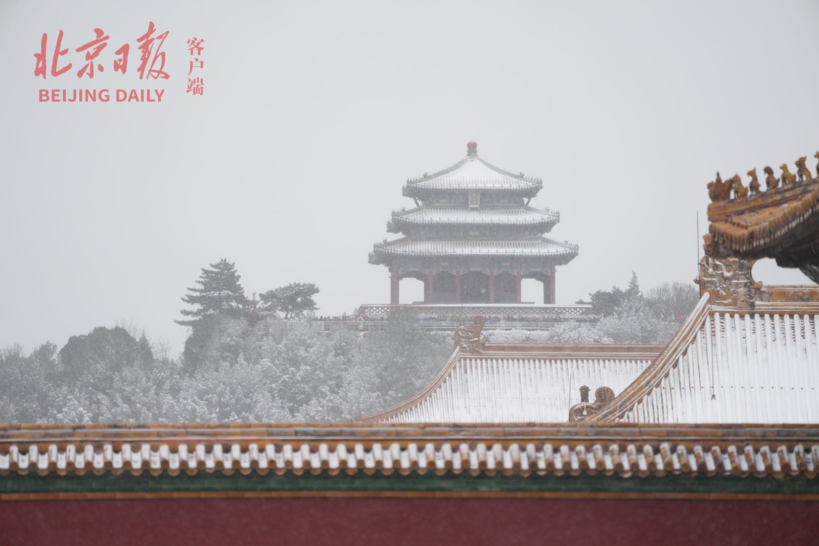 一夜梦回紫禁城!故宫雪景大片来了