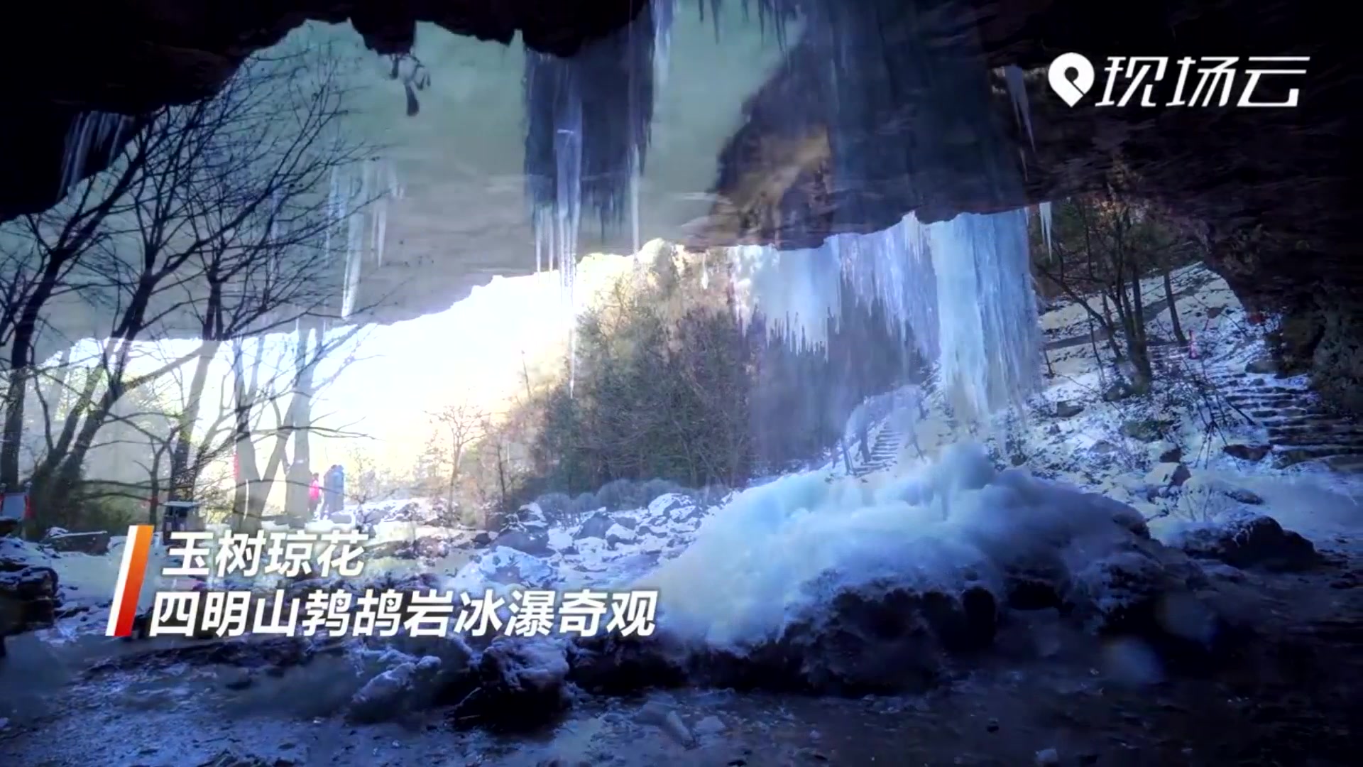 玉树琼花 宁波四明山现冰瀑奇观