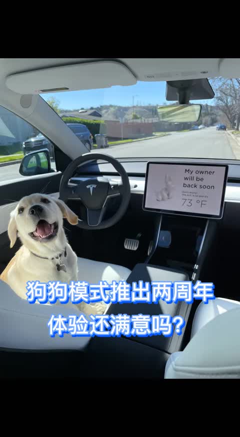 在中国玩狗狗币违法吗