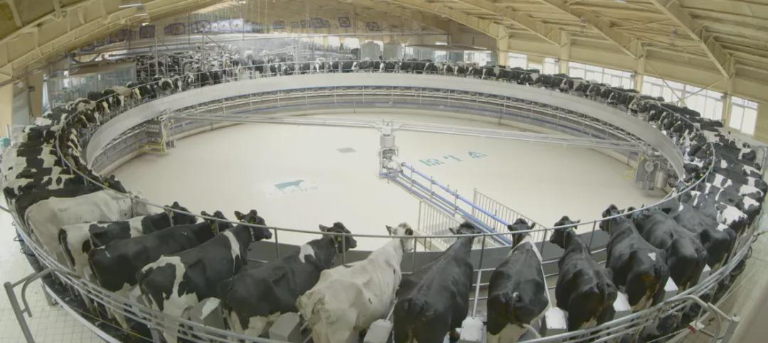 透明化能促使企业建立更加严苛的产品质量管理体系,提供更优质安全的