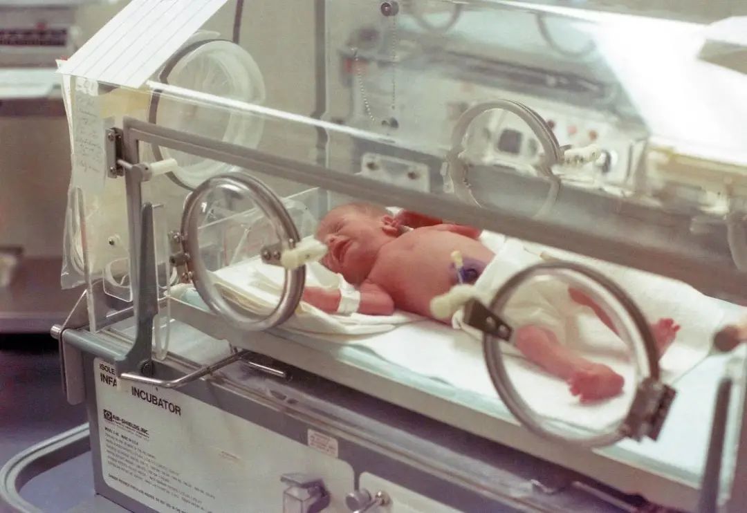 错换人生,老鼠咬宝宝:婴儿室出生的一代人