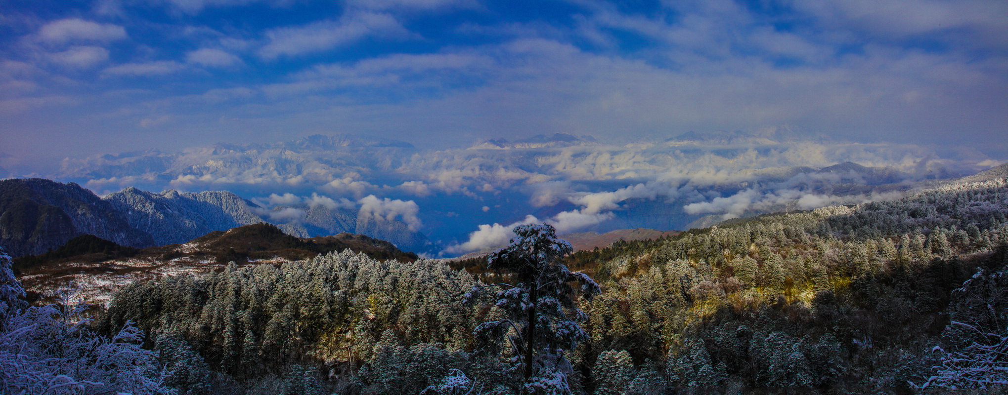 邀您"星空赏雪,云端漫步!石棉王岗坪旅游景区5月开门迎客