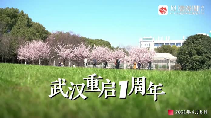 武汉重启一周年:从逐步复苏到全面开花