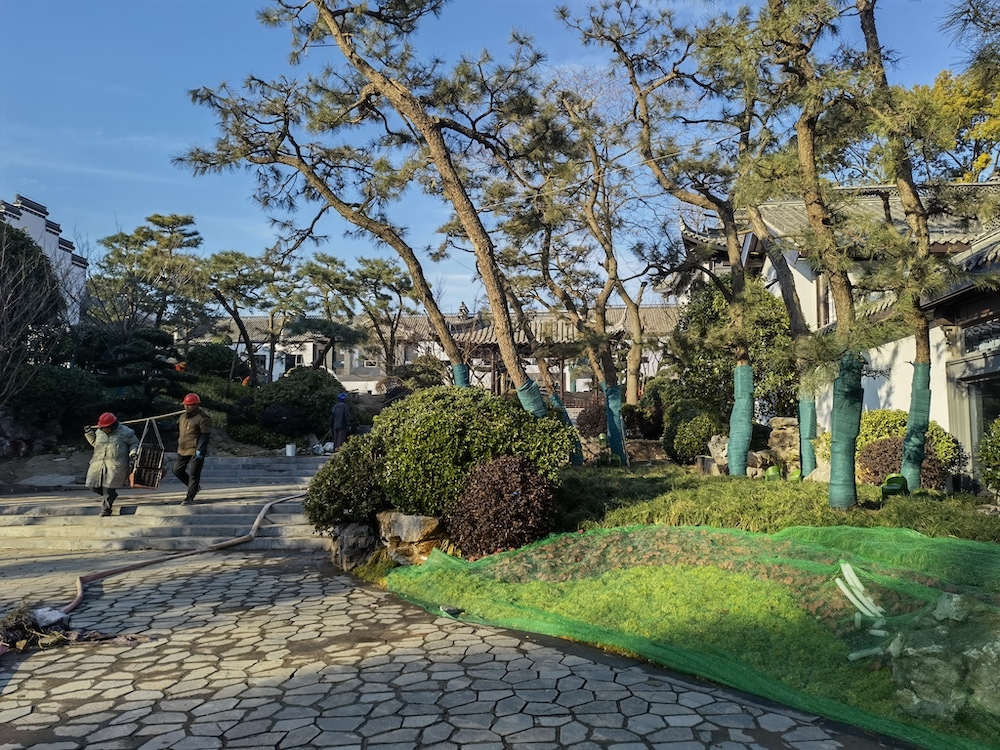 运河重生与当代造园扬州红园改造升级的背后
