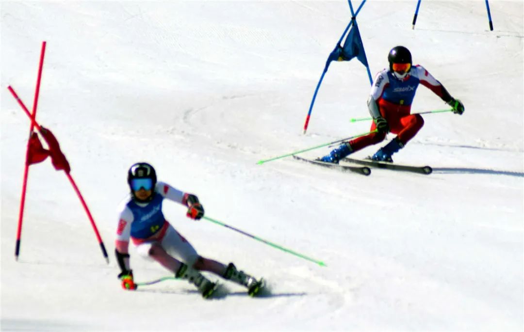黑龙江包揽金牌!全国高山滑雪锦标赛男女平行大回转比赛结束