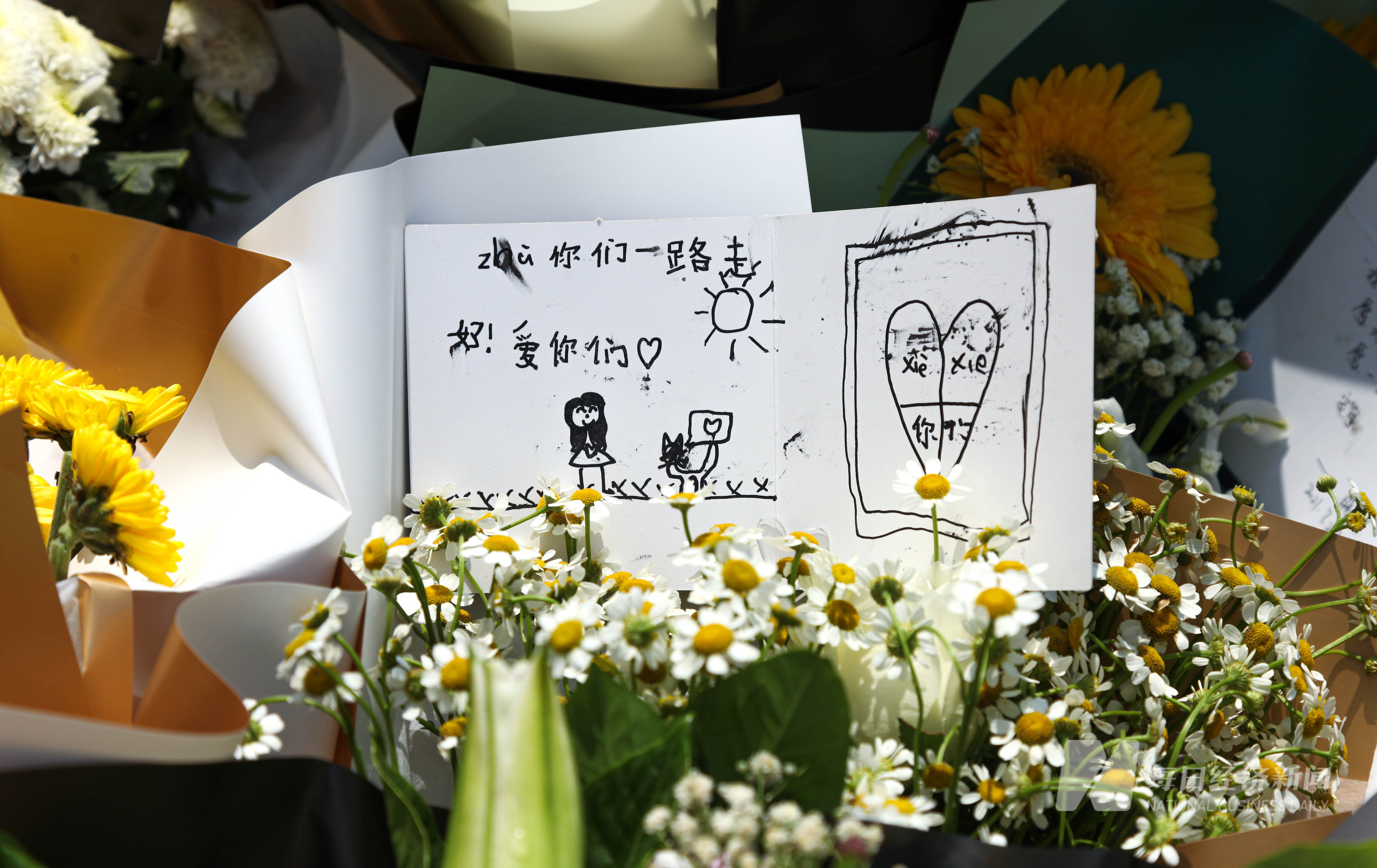图集丨鲜花寄语铺满郑州地铁沙口路站门前京广隧道天桥上飘花香
