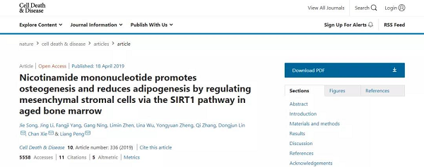 烟酰胺单核苷酸(nmn)可通过sirt1途径调节老年骨髓中的间充质基质细胞