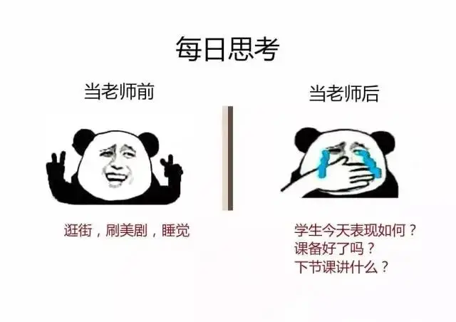 你以为的老师 vs 现实中的老师