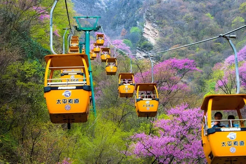 标本与科普陈列