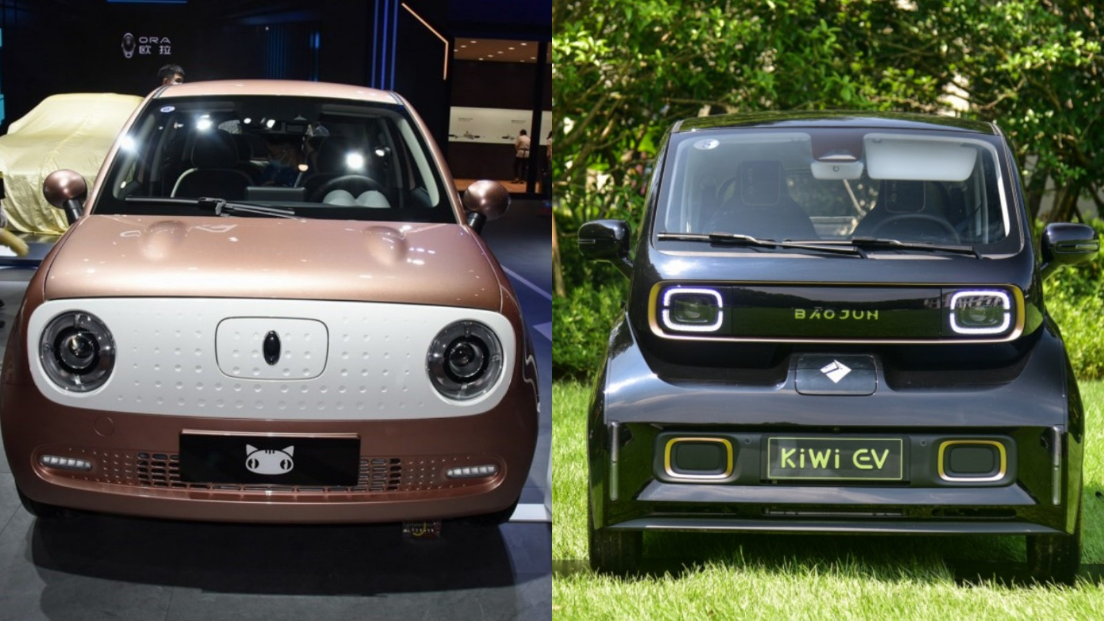 可爱感pk未来感,欧拉黑猫和kiwi ev,你选谁?_凤凰网汽车_凤凰网