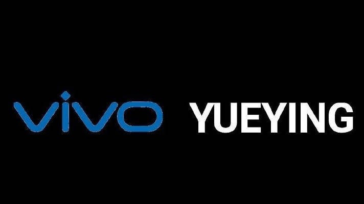 vivo新申请了两个商标,分别是vivo soc以及vivo chip,这两个商标属于