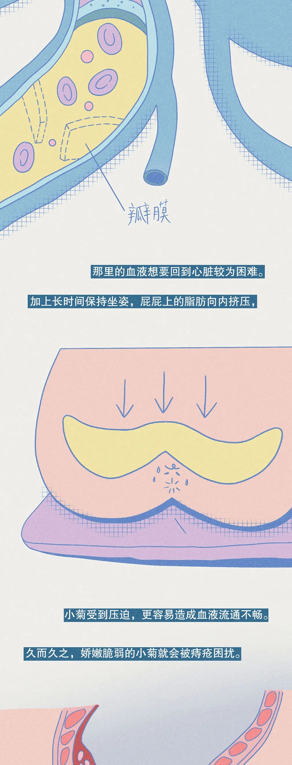 经常提肛的男生到底有多强?