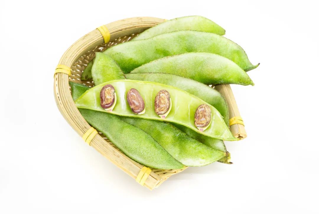 为什么红豆配相思,绿豆却配王八?