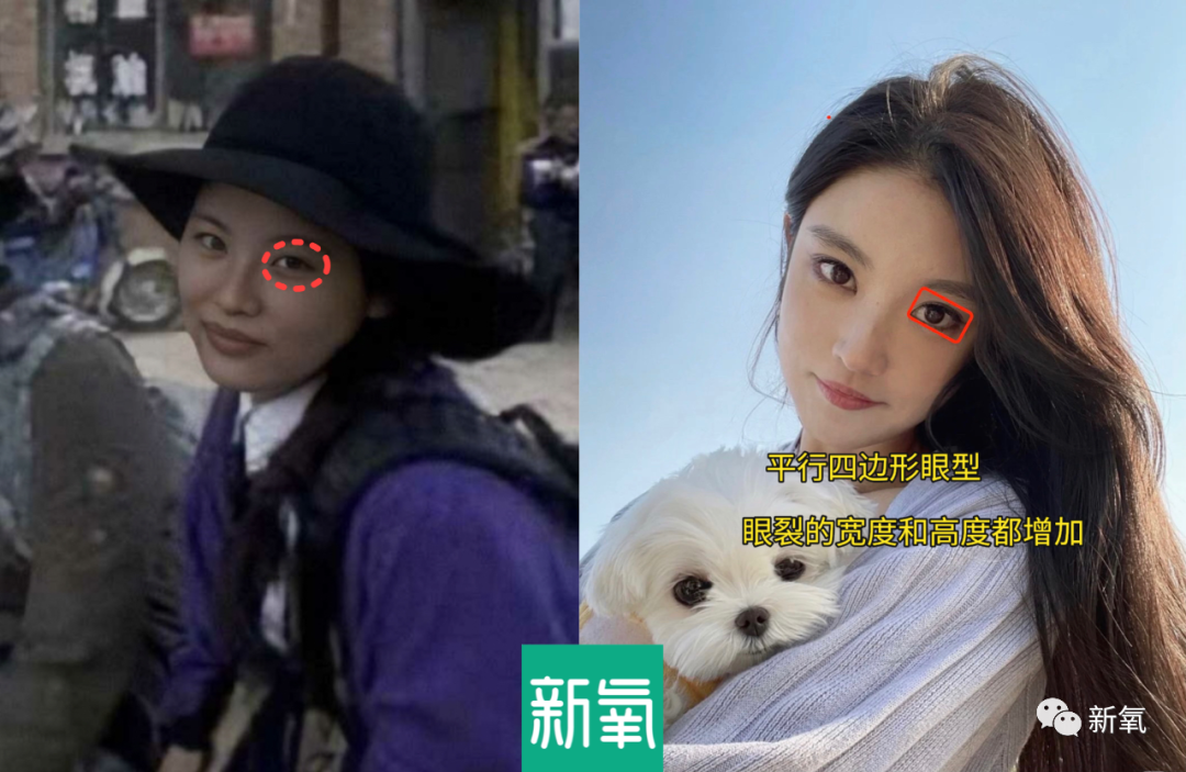 被嘲p图碰瓷刘亦菲可她的审美真的很在线诶
