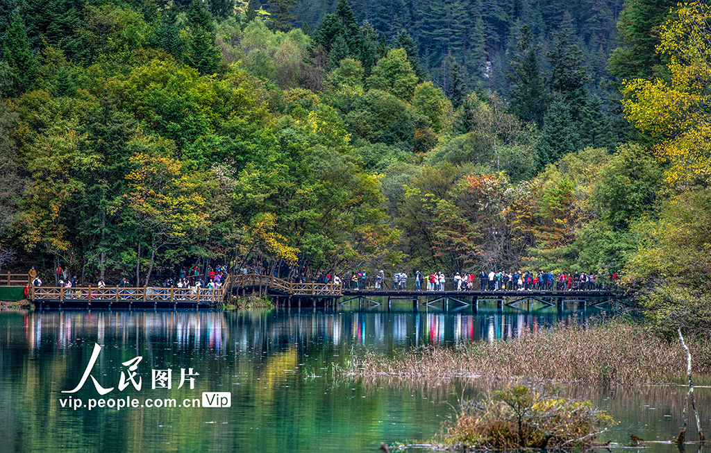 四川阿坝九寨沟秋景迷人