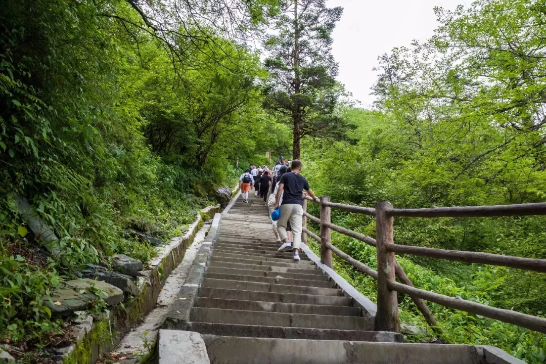 4天3夜峨眉山之行,五一就这样安排妥了