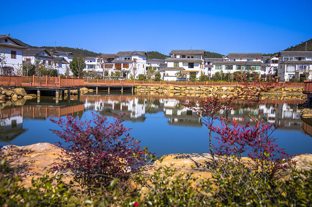 新农村新风貌,四季果香,七彩风景,全南沙坝仔村民笑开颜__凤凰网