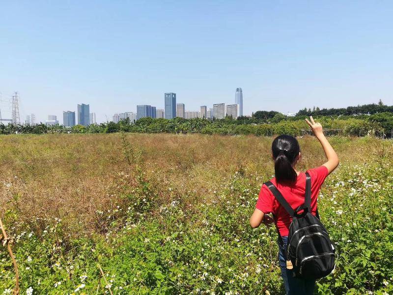 14岁重度抑郁症女孩的困与退:我的错,让你失望了