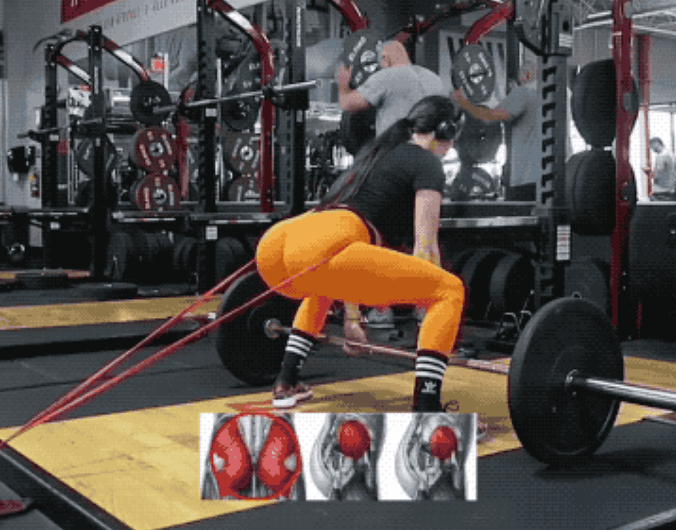 diana的家庭版练臀大法动图 在健身房不好意思练臀的妹子们 可以在家