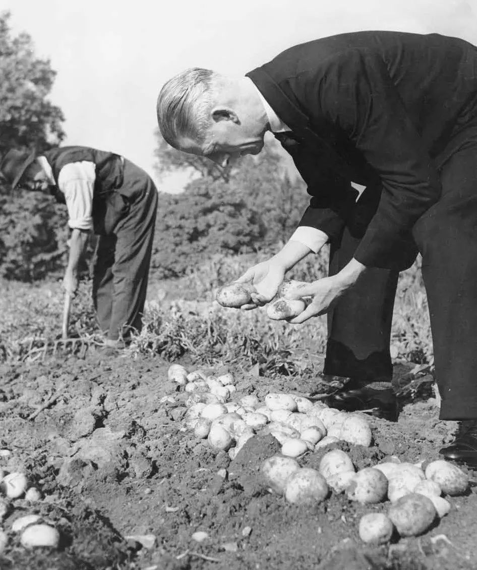 为国王,为国家而战斗,而死亡——园丁们,男人们!