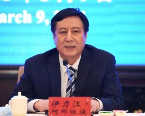 伊力江61阿那依提