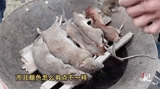 吃了福建的老鼠干,才能登上黑暗料理的王座