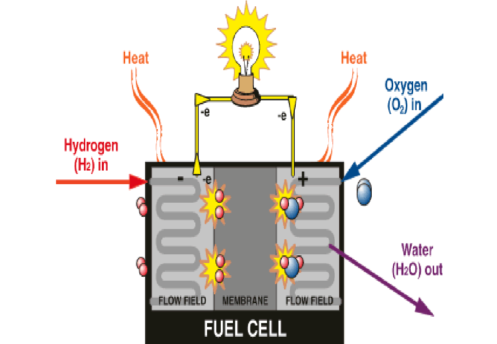 燃料电池工作原理,资料来源:招商证券
