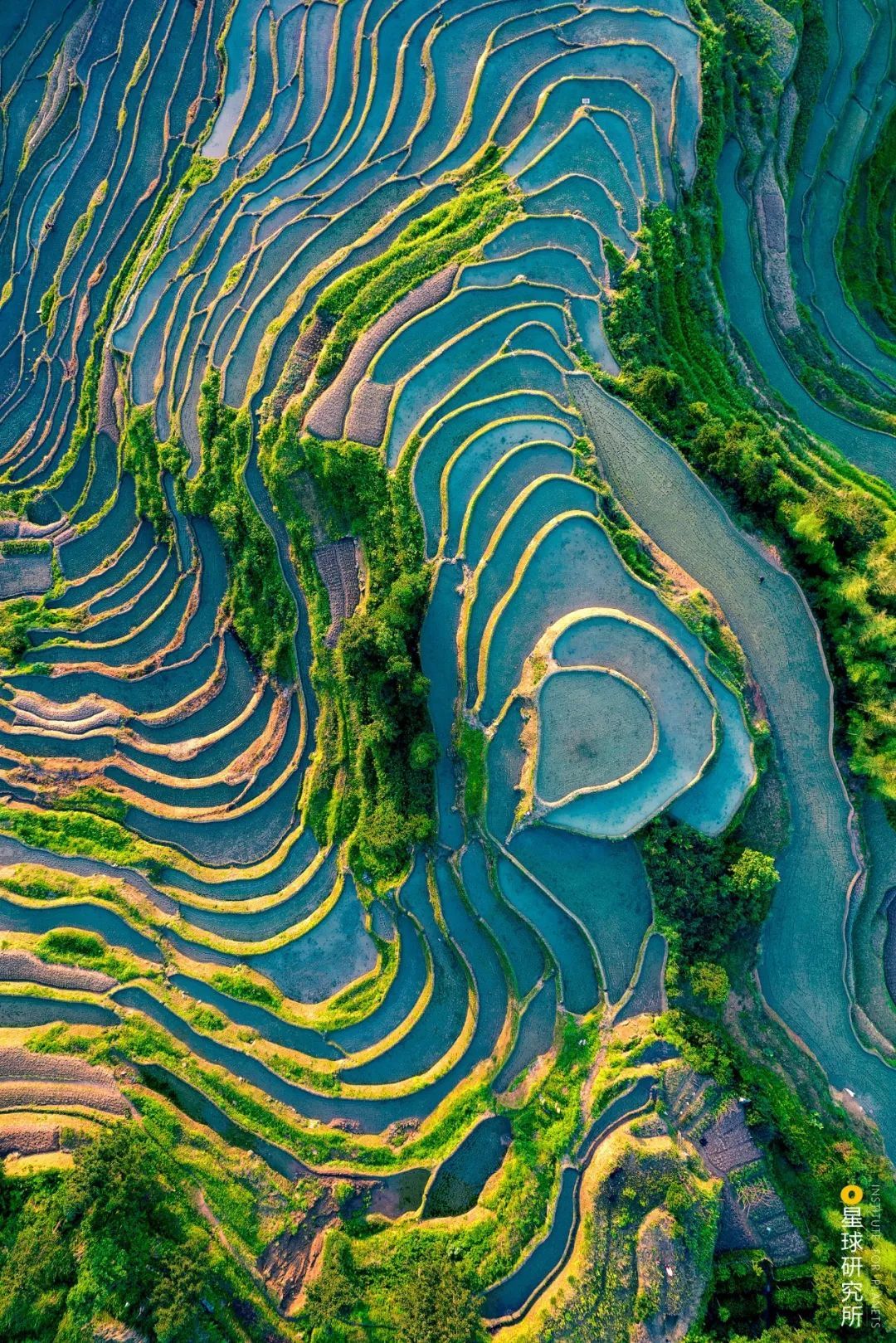 中国梯田,有多美?