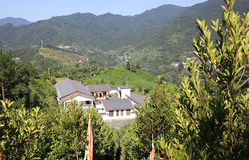 一天的时间,我们先后去了曾家寨,岱王沟,石板河,营盘山和八卦山自然