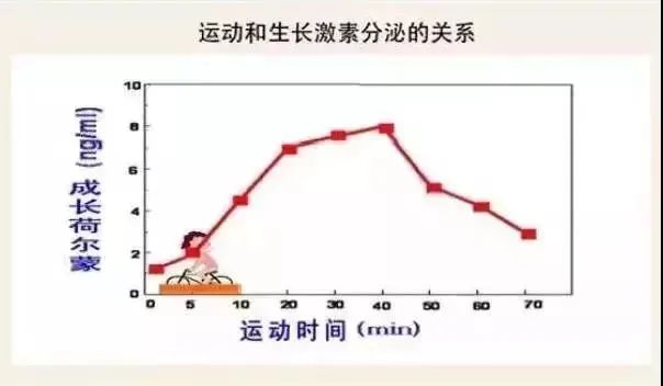 保持适度的饥饿感,把血糖控制在稍微低一些的水平,有利于生长激素分泌